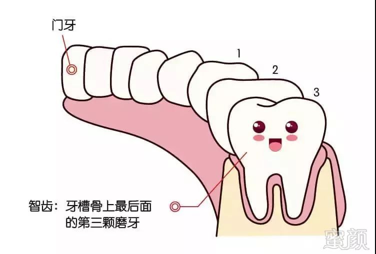 案例图片