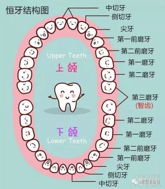 案例图片