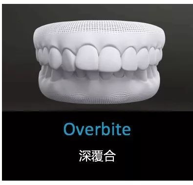 https://img.miyanlife.com/mnt/timg/191003/1233526432-2.jpg
