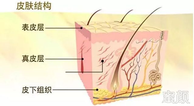 https://img.miyanlife.com/mnt/timg/191006/0Q6312047-17.jpg