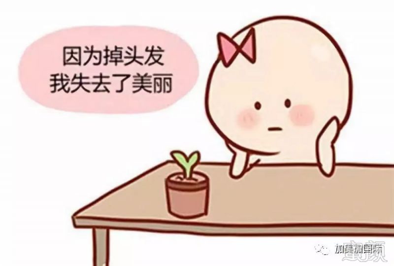 案例图片