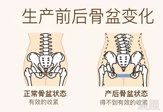 案例图片