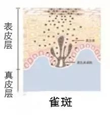 https://img.miyanlife.com/mnt/timg/191018/1222053O6-10.jpg