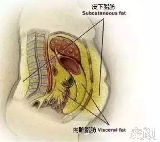 案例图片