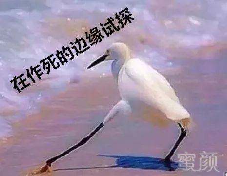 https://img.miyanlife.com/mnt/timg/191019/1143154306-7.jpg