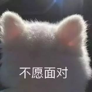 https://img.miyanlife.com/mnt/timg/191019/122502I39-1.jpg