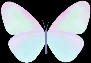 https://img.miyanlife.com/mnt/timg/191019/1255301443-4.jpg