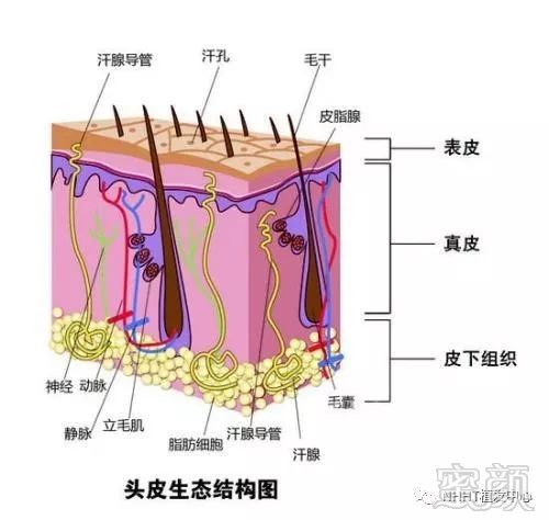 案例图片