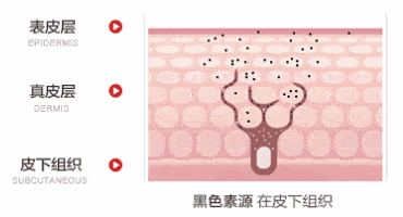 https://img.miyanlife.com/mnt/timg/191021/120134H64-5.jpg