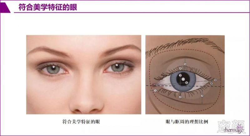 https://img.miyanlife.com/mnt/timg/191021/1244012R5-1.jpg