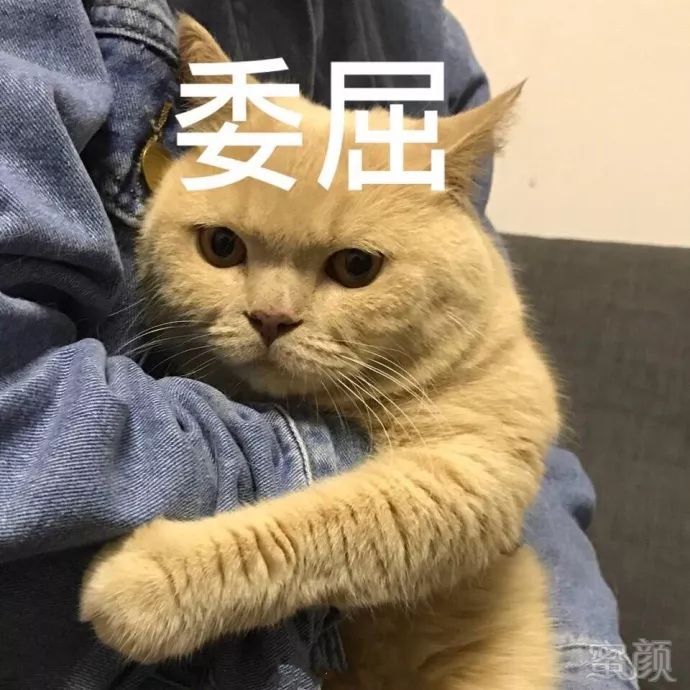 https://img.miyanlife.com/mnt/timg/191023/1256336240-0.jpg