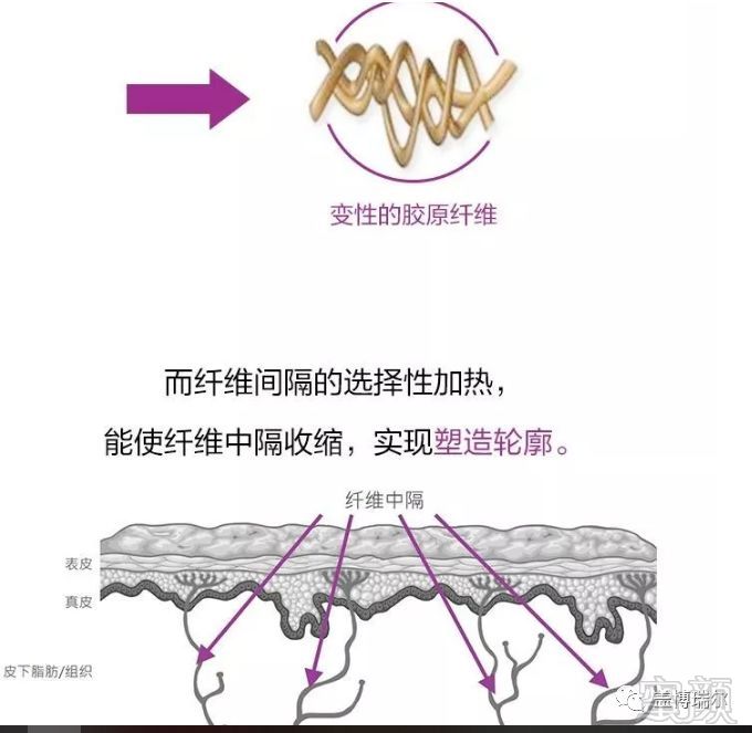 https://img.miyanlife.com/mnt/timg/191023/125R911c-4.jpg