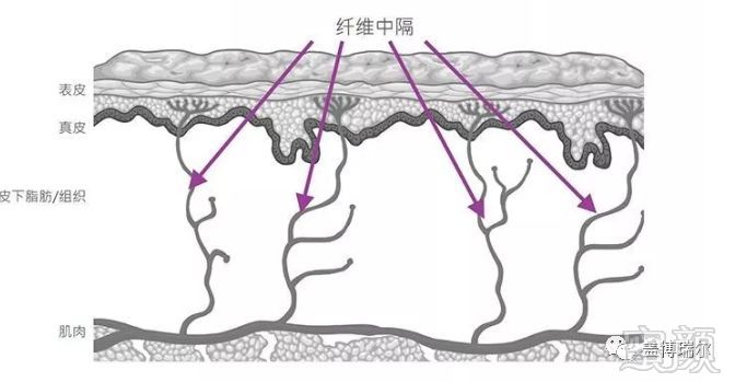 https://img.miyanlife.com/mnt/timg/191023/125Ra629-5.jpg