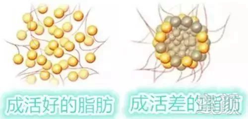 https://img.miyanlife.com/mnt/timg/191024/14023T403-8.jpg