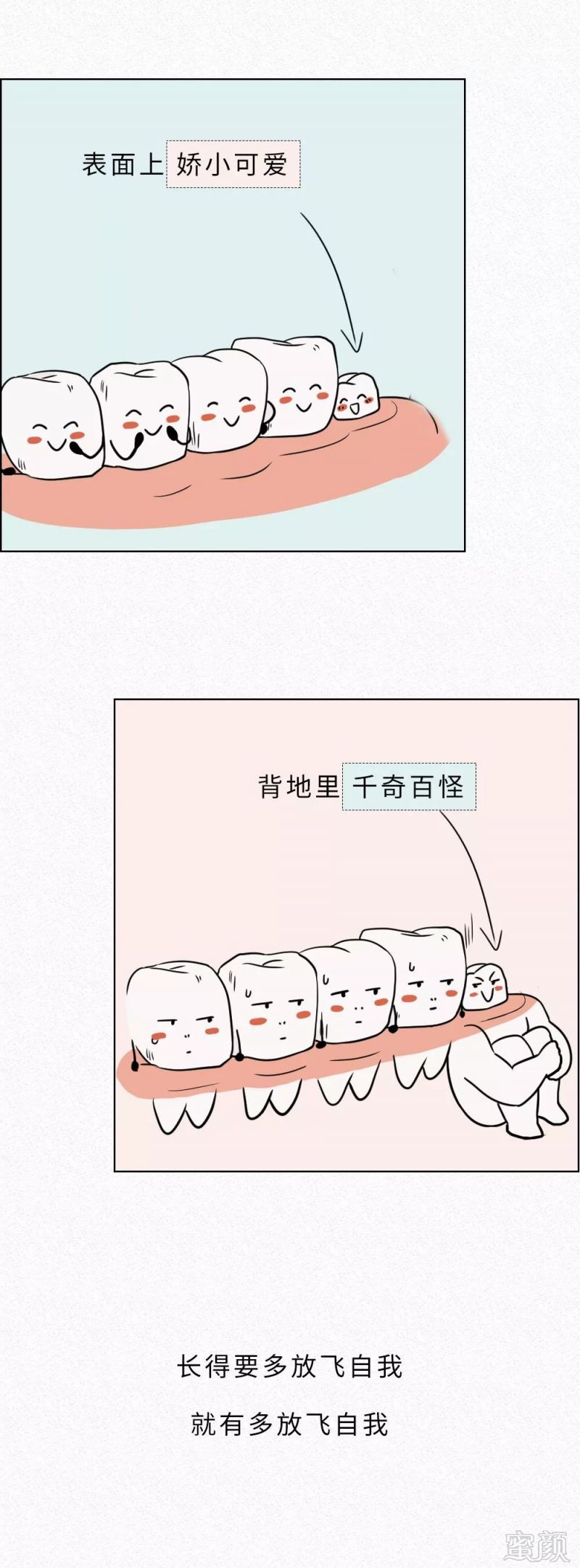 案例图片