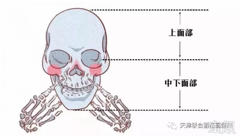 案例图片