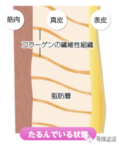 https://img.miyanlife.com/mnt/timg/191106/1336055612-1.jpg