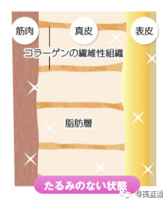 https://img.miyanlife.com/mnt/timg/191106/13360QB6-3.jpg