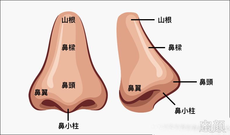 https://img.miyanlife.com/mnt/timg/191108/1112092028-1.jpg
