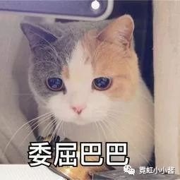 https://img.miyanlife.com/mnt/timg/191109/130504C30-2.jpg