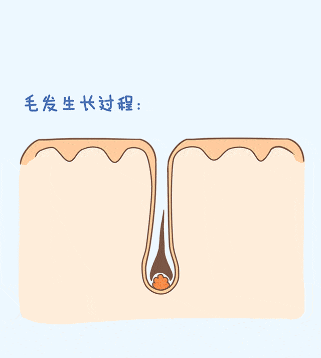 https://img.miyanlife.com/mnt/timg/191110/13304025W-4.jpg
