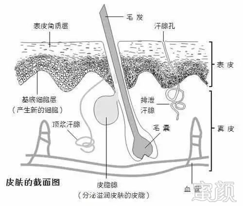 案例图片