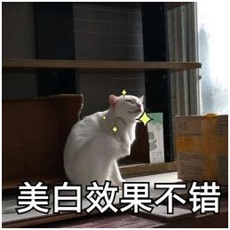 https://img.miyanlife.com/mnt/timg/191113/124Za009-3.jpg