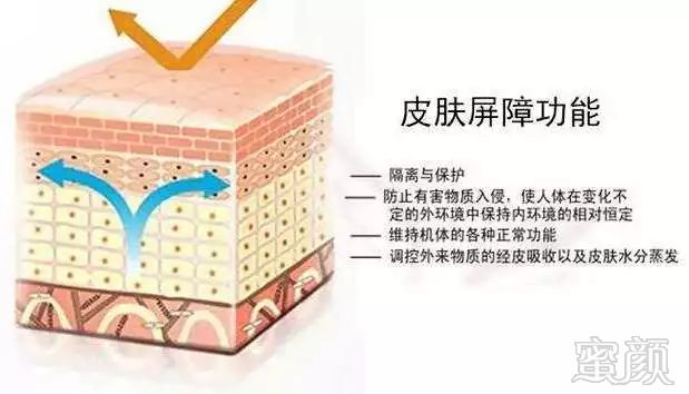 https://img.miyanlife.com/mnt/timg/191116/1122464I6-18.jpg