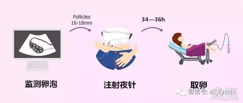https://img.miyanlife.com/mnt/timg/191118/13044223K-0.jpg