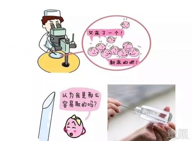 https://img.miyanlife.com/mnt/timg/191118/1304435420-2.jpg