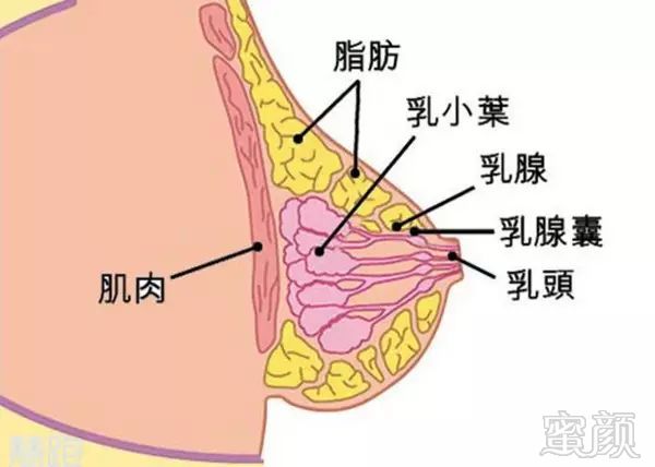 案例图片