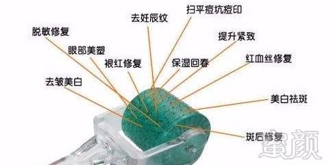 https://img.miyanlife.com/mnt/timg/191122/133Z2M64-6.jpg
