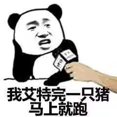 https://img.miyanlife.com/mnt/timg/191123/1415021517-4.jpg