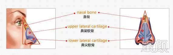 案例图片