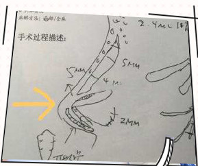 案例图片