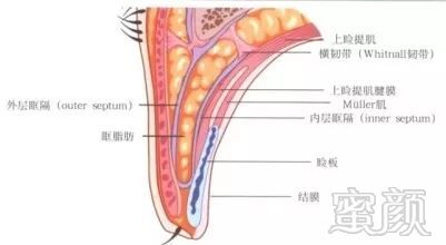 案例图片