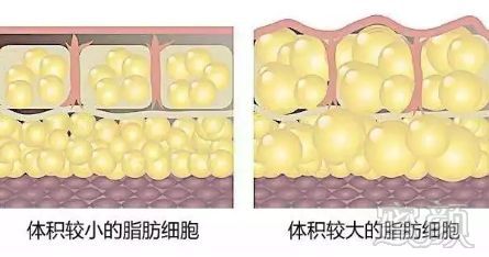 https://img.miyanlife.com/mnt/timg/191201/1034125931-3.jpg