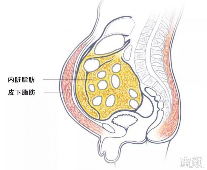 https://img.miyanlife.com/mnt/timg/191201/1034141647-6.jpg