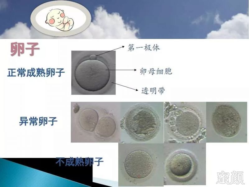 https://img.miyanlife.com/mnt/timg/191202/132211A61-1.jpg