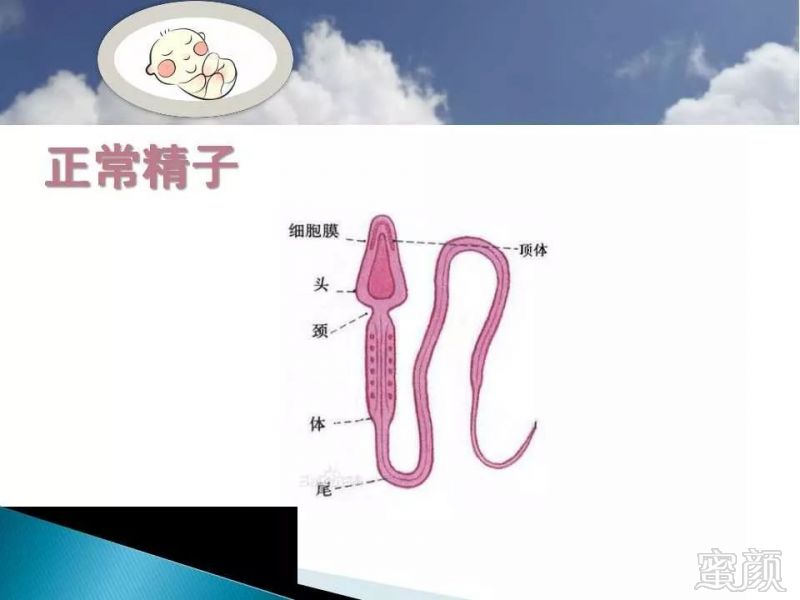 https://img.miyanlife.com/mnt/timg/191202/1322121394-2.jpg