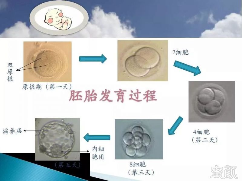 https://img.miyanlife.com/mnt/timg/191202/1322162961-7.jpg