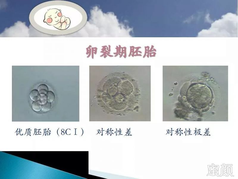 https://img.miyanlife.com/mnt/timg/191202/13222111Q-15.jpg