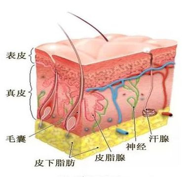 案例图片