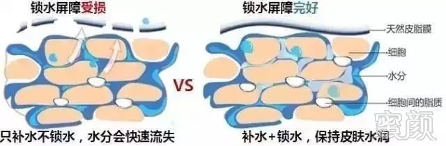 https://img.miyanlife.com/mnt/timg/191204/1352034103-9.jpg 案例图片