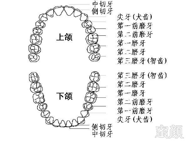 https://img.miyanlife.com/mnt/timg/191205/14245M017-18.jpg