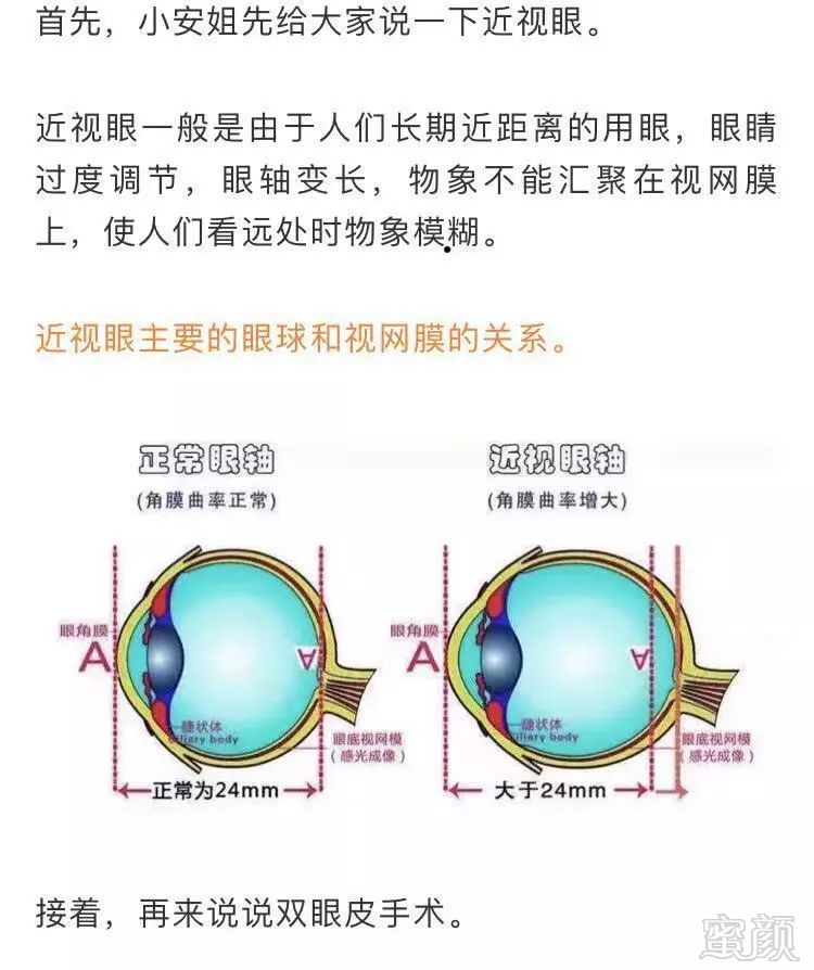 案例图片