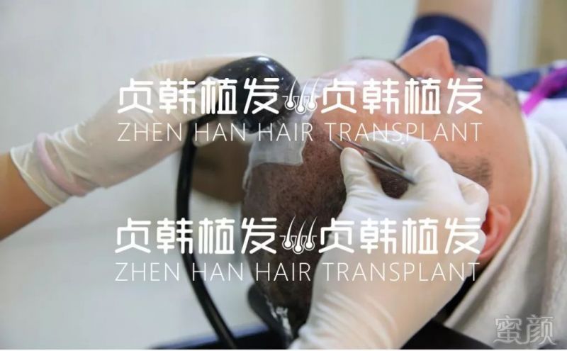 https://img.miyanlife.com/mnt/timg/191206/1350052031-8.jpg