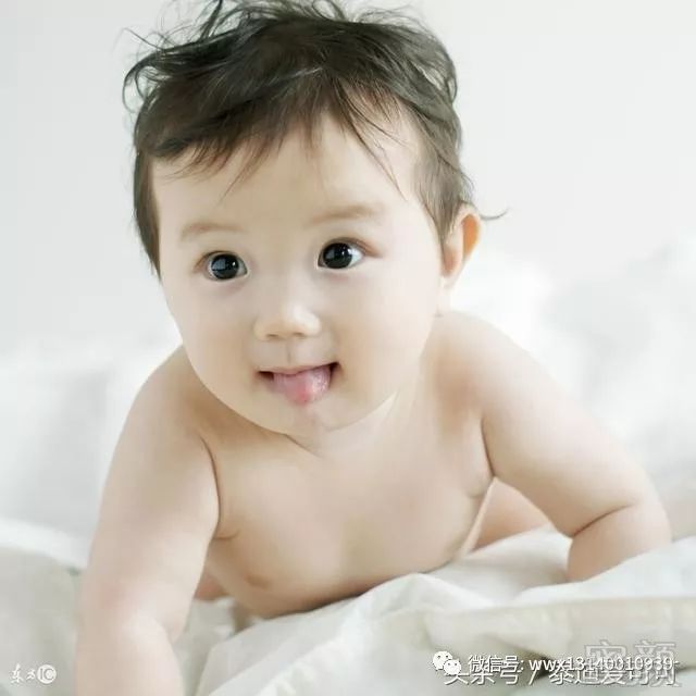 https://img.miyanlife.com/mnt/timg/191207/1356094535-0.jpg