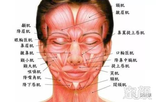 https://img.miyanlife.com/mnt/timg/191207/1413204238-4.jpg