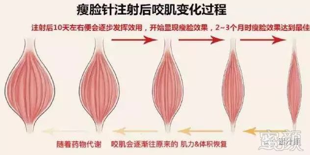 https://img.miyanlife.com/mnt/timg/191207/14132T4Y-13.jpg